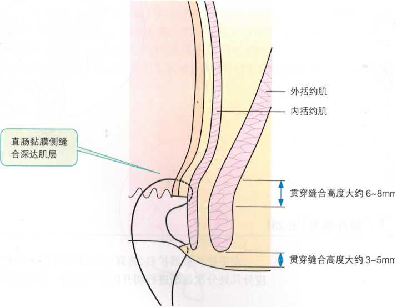 QQ截图20180517133703.png